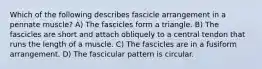 Which of the following describes fascicle arrangement in a pennate muscle? A) The fascicles form a triangle. B) The fascicles are short and attach obliquely to a central tendon that runs the length of a muscle. C) The fascicles are in a fusiform arrangement. D) The fascicular pattern is circular.