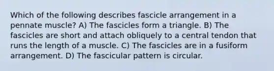 Which of the following describes fascicle arrangement in a pennate muscle? A) The fascicles form a triangle. B) The fascicles are short and attach obliquely to a central tendon that runs the length of a muscle. C) The fascicles are in a fusiform arrangement. D) The fascicular pattern is circular.