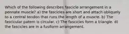 Which of the following describes fascicle arrangement in a pennate muscle? a) the fascicles are short and attach obliquely to a central tendon that runs the length of a muscle. b) The fascicular patern is circular. c) The fascicles form a triangle. d) the fascicles are in a fusiform arrangement.