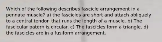 Which of the following describes fascicle arrangement in a pennate muscle? a) the fascicles are short and attach obliquely to a central tendon that runs the length of a muscle. b) The fascicular patern is circular. c) The fascicles form a triangle. d) the fascicles are in a fusiform arrangement.