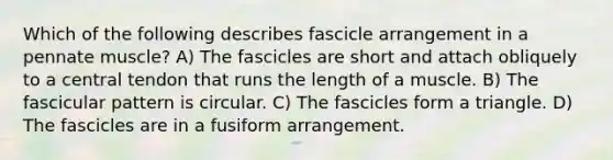 Which of the following describes fascicle arrangement in a pennate muscle? A) The fascicles are short and attach obliquely to a central tendon that runs the length of a muscle. B) The fascicular pattern is circular. C) The fascicles form a triangle. D) The fascicles are in a fusiform arrangement.