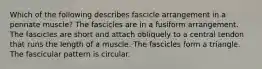 Which of the following describes fascicle arrangement in a pennate muscle? The fascicles are in a fusiform arrangement. The fascicles are short and attach obliquely to a central tendon that runs the length of a muscle. The fascicles form a triangle. The fascicular pattern is circular.