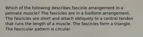 Which of the following describes fascicle arrangement in a pennate muscle? The fascicles are in a fusiform arrangement. The fascicles are short and attach obliquely to a central tendon that runs the length of a muscle. The fascicles form a triangle. The fascicular pattern is circular.