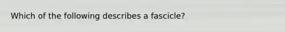 Which of the following describes a fascicle?