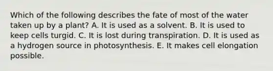 Which of the following describes the fate of most of the water taken up by a plant? A. It is used as a solvent. B. It is used to keep cells turgid. C. It is lost during transpiration. D. It is used as a hydrogen source in photosynthesis. E. It makes cell elongation possible.