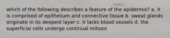 which of the following describes a feature of the epidermis? a. it is comprised of epithelium and connective tissue b. sweat glands originate in its deepest layer c. it lacks blood vessels d. the superficial cells undergo continual mitosis