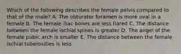 Which of the following describes the female pelvis compared to that of the male? A. The obturator foramen is more oval in a female B. The female iliac bones are less flared C. The distance between the female ischial spines is greater D. The angel of the female pubic arch is smaller E. The distance between the female ischial tuberosities is less