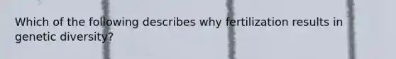 Which of the following describes why fertilization results in genetic diversity?