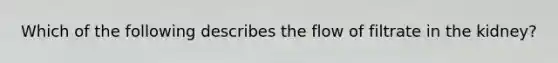 Which of the following describes the flow of filtrate in the kidney?