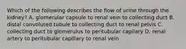 Which of the following describes the flow of urine through the kidney? A. glomerular capsule to renal vein to collecting duct B. distal convoluted tubule to collecting duct to renal pelvis C. collecting duct to glomerulus to peritubular capilary D. renal artery to peritubular capillary to renal vein