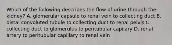 Which of the following describes the flow of urine through the kidney? A. glomerular capsule to renal vein to collecting duct B. distal convoluted tubule to collecting duct to renal pelvis C. collecting duct to glomerulus to peritubular capilary D. renal artery to peritubular capillary to renal vein