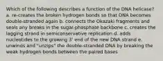 Which of the following describes a function of the DNA helicase? a. re-creates the broken hydrogen bonds so that DNA becomes double-stranded again b. connects the Okazaki fragments and seals any breaks in the sugar-phosphate backbone c. creates the lagging strand in semiconservative replication d. adds nucleotides to the growing 3' end of the new DNA strand e. unwinds and "unzips" the double-stranded DNA by breaking the weak hydrogen bonds between the paired bases