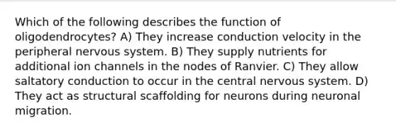 Which of the following describes the function of oligodendrocytes? A) They increase conduction velocity in the peripheral nervous system. B) They supply nutrients for additional ion channels in the nodes of Ranvier. C) They allow saltatory conduction to occur in the central nervous system. D) They act as structural scaffolding for neurons during neuronal migration.