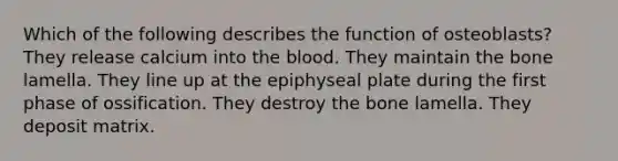 Which of the following describes the function of osteoblasts? They release calcium into <a href='https://www.questionai.com/knowledge/k7oXMfj7lk-the-blood' class='anchor-knowledge'>the blood</a>. They maintain the bone lamella. They line up at the epiphyseal plate during the first phase of ossification. They destroy the bone lamella. They deposit matrix.