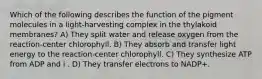 Which of the following describes the function of the pigment molecules in a light-harvesting complex in the thylakoid membranes? A) They split water and release oxygen from the reaction-center chlorophyll. B) They absorb and transfer light energy to the reaction-center chlorophyll. C) They synthesize ATP from ADP and i . D) They transfer electrons to NADP+.