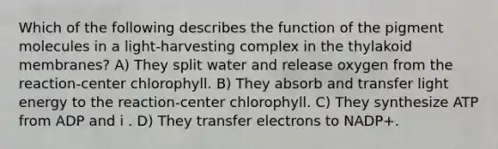 Which of the following describes the function of the pigment molecules in a light-harvesting complex in the thylakoid membranes? A) They split water and release oxygen from the reaction-center chlorophyll. B) They absorb and transfer light energy to the reaction-center chlorophyll. C) They synthesize ATP from ADP and i . D) They transfer electrons to NADP+.