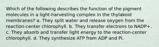 Which of the following describes the function of the pigment molecules in a light-harvesting complex in the thylakoid membranes? a. They split water and release oxygen from the reaction-center chlorophyll. b. They transfer electrons to NADP+. c. They absorb and transfer light energy to the reaction-center chlorophyll. d. They synthesize ATP from ADP and Pi.