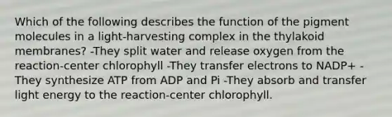 Which of the following describes the function of the pigment molecules in a light-harvesting complex in the thylakoid membranes? -They split water and release oxygen from the reaction-center chlorophyll -They transfer electrons to NADP+ -They synthesize ATP from ADP and Pi -They absorb and transfer light energy to the reaction-center chlorophyll.