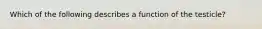 Which of the following describes a function of the testicle?