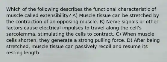 Which of the following describes the functional characteristic of muscle called extensibility? A) Muscle tissue can be stretched by the contraction of an opposing muscle. B) Nerve signals or other factors cause electrical impulses to travel along the cell's sarcolemma, stimulating the cells to contract. C) When muscle cells shorten, they generate a strong pulling force. D) After being stretched, muscle tissue can passively recoil and resume its resting length.