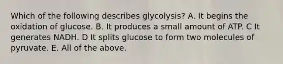 Which of the following describes glycolysis? A. It begins the oxidation of glucose. B. It produces a small amount of ATP. C It generates NADH. D It splits glucose to form two molecules of pyruvate. E. All of the above.