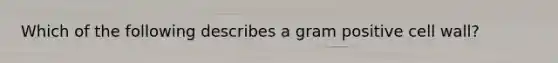 Which of the following describes a gram positive cell wall?