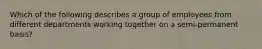 Which of the following describes a group of employees from different departments working together on a semi-permanent basis?