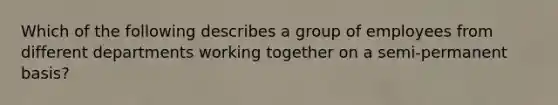 Which of the following describes a group of employees from different departments working together on a semi-permanent basis?