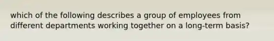 which of the following describes a group of employees from different departments working together on a long-term basis?