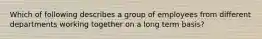 Which of following describes a group of employees from different departments working together on a long term basis?