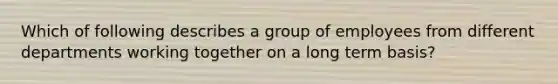 Which of following describes a group of employees from different departments working together on a long term basis?