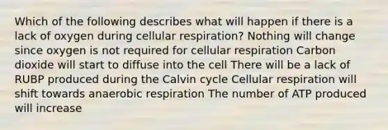 Which of the following describes what will happen if there is a lack of oxygen during cellular respiration? Nothing will change since oxygen is not required for cellular respiration Carbon dioxide will start to diffuse into the cell There will be a lack of RUBP produced during the Calvin cycle Cellular respiration will shift towards anaerobic respiration The number of ATP produced will increase