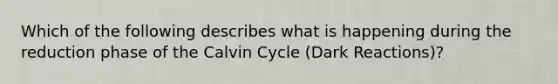 Which of the following describes what is happening during the reduction phase of the Calvin Cycle (Dark Reactions)?