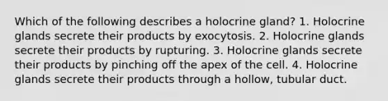 Which of the following describes a holocrine gland? 1. Holocrine glands secrete their products by exocytosis. 2. Holocrine glands secrete their products by rupturing. 3. Holocrine glands secrete their products by pinching off the apex of the cell. 4. Holocrine glands secrete their products through a hollow, tubular duct.