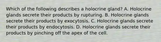 Which of the following describes a holocrine gland? A. Holocrine glands secrete their products by rupturing. B. Holocrine glands secrete their products by exocytosis. C. Holocrine glands secrete their products by endocytosis. D. Holocrine glands secrete their products by pinching off the apex of the cell.