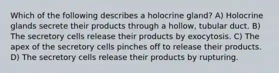 Which of the following describes a holocrine gland? A) Holocrine glands secrete their products through a hollow, tubular duct. B) The secretory cells release their products by exocytosis. C) The apex of the secretory cells pinches off to release their products. D) The secretory cells release their products by rupturing.