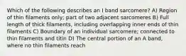 Which of the following describes an I band sarcomere? A) Region of thin filaments only; part of two adjacent sarcomeres B) Full length of thick filaments, including overlapping inner ends of thin filaments C) Boundary of an individual sarcomere; connected to thin filaments and titin D) The central portion of an A band, where no thin filaments reach