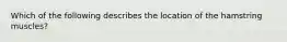 Which of the following describes the location of the hamstring muscles?