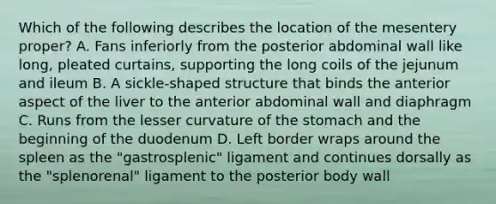 Which of the following describes the location of the mesentery proper? A. Fans inferiorly from the posterior abdominal wall like long, pleated curtains, supporting the long coils of the jejunum and ileum B. A sickle-shaped structure that binds the anterior aspect of the liver to the anterior abdominal wall and diaphragm C. Runs from the lesser curvature of the stomach and the beginning of the duodenum D. Left border wraps around the spleen as the "gastrosplenic" ligament and continues dorsally as the "splenorenal" ligament to the posterior body wall