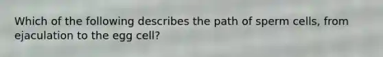 Which of the following describes the path of sperm cells, from ejaculation to the egg cell?