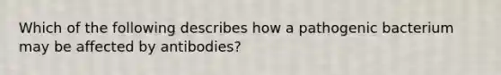 Which of the following describes how a pathogenic bacterium may be affected by antibodies?