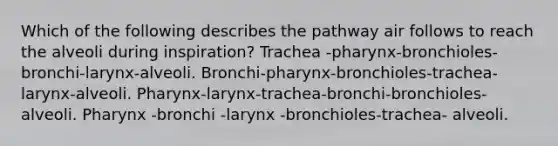 Which of the following describes the pathway air follows to reach the alveoli during inspiration? Trachea -pharynx-bronchioles-bronchi-larynx-alveoli. Bronchi-pharynx-bronchioles-trachea-larynx-alveoli. Pharynx-larynx-trachea-bronchi-bronchioles-alveoli. Pharynx -bronchi -larynx -bronchioles-trachea- alveoli.