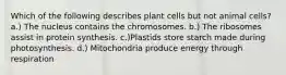 Which of the following describes plant cells but not animal cells? a.) The nucleus contains the chromosomes. b.) The ribosomes assist in protein synthesis. c.)Plastids store starch made during photosynthesis. d.) Mitochondria produce energy through respiration