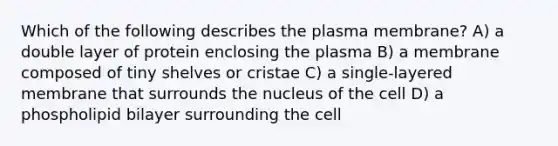 Which of the following describes the plasma membrane? A) a double layer of protein enclosing the plasma B) a membrane composed of tiny shelves or cristae C) a single-layered membrane that surrounds the nucleus of the cell D) a phospholipid bilayer surrounding the cell