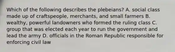 Which of the following describes the plebeians? A. social class made up of craftspeople, merchants, and small farmers B. wealthy, powerful landowners who formed the ruling class C. group that was elected each year to run the government and lead the army D. officials in the Roman Republic responsible for enforcing civil law