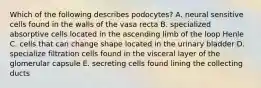 Which of the following describes podocytes? A. neural sensitive cells found in the walls of the vasa recta B. specialized absorptive cells located in the ascending limb of the loop Henle C. cells that can change shape located in the urinary bladder D. specialize filtration cells found in the visceral layer of the glomerular capsule E. secreting cells found lining the collecting ducts