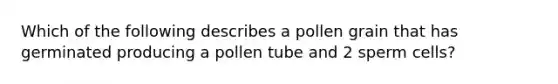 Which of the following describes a pollen grain that has germinated producing a pollen tube and 2 sperm cells?