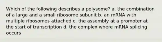 Which of the following describes a polysome? a. the combination of a large and a small ribosome subunit b. an mRNA with multiple ribosomes attached c. the assembly at a promoter at the start of transcription d. the complex where mRNA splicing occurs