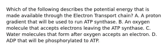 Which of the following describes the potential energy that is made available through <a href='https://www.questionai.com/knowledge/k57oGBr0HP-the-electron-transport-chain' class='anchor-knowledge'>the electron transport chain</a>? A. A proton gradient that will be used to run ATP synthase. B. An oxygen molecule that accepts electrons leaving the ATP synthase. C. Water molecules that form after oxygen accepts an electron. D. ADP that will be phosphorylated to ATP.