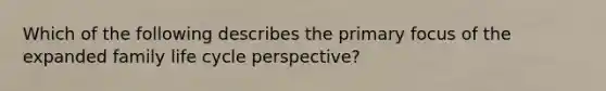 Which of the following describes the primary focus of the expanded family life cycle perspective?